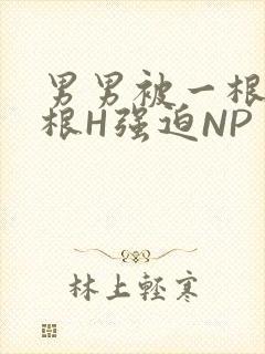 男男被一根又一根H强迫NP