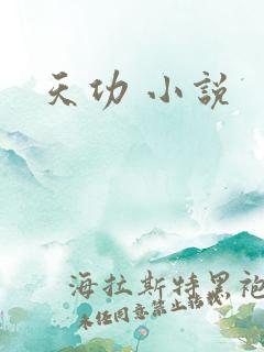 天功 小说