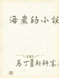 海岩的小说