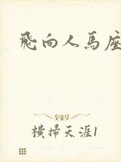 飞向人马座