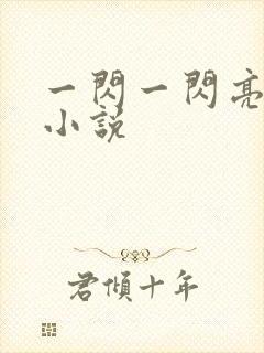 一闪一闪亮晶晶小说