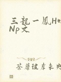 三龙一凤H啪肉Np文