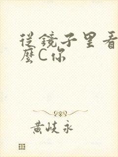 从镜子里看我怎么C你