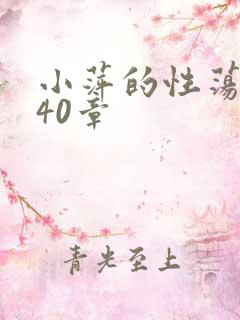 小萍的性荡生活40章