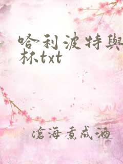 哈利波特与火焰杯txt