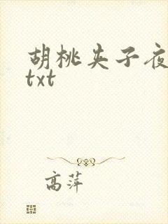 胡桃夹子夜未眠txt