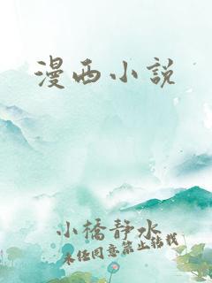 漫西小说