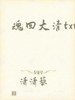 魂回大清txt