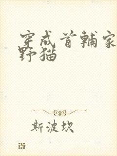 穿成首辅家的小野猫