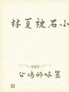 林夏被石小猛