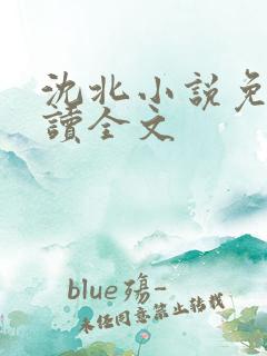 沈北小说免费阅读全文