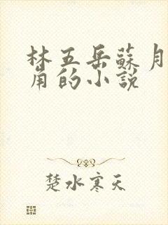 林五岳苏月灵主角的小说