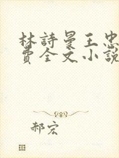 林诗曼王忠文免费全文小说的名称