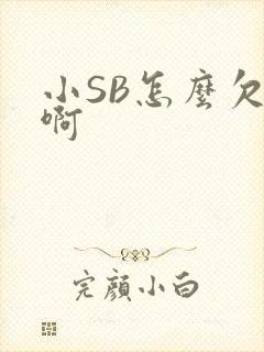 小SB怎么欠C啊