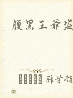 腹黑王爷盗墓妃