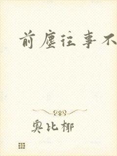 前尘往事不可追