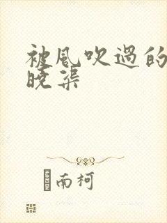 被风吹过的夏天晓渠