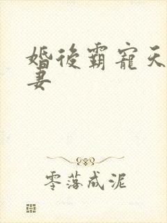 婚后霸宠天价小妻