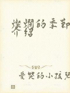 灿烂的季节剧情介绍