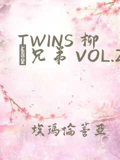 TWINS 柳澤兄弟 VOL.2