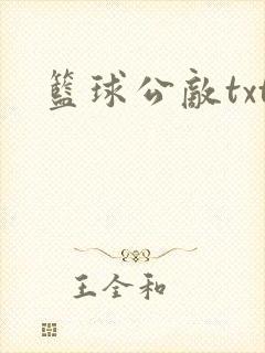 篮球公敌txt