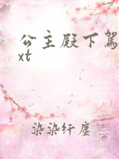 公主殿下驾到txt