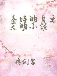 秦时明月之夜尽天明小说