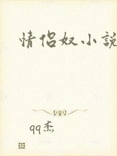 情侣奴小说