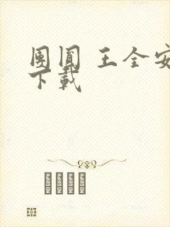 团圆 王全安 下载