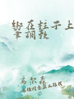 绑在柱子上用毛笔调教