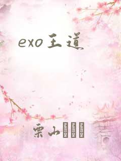 exo王道