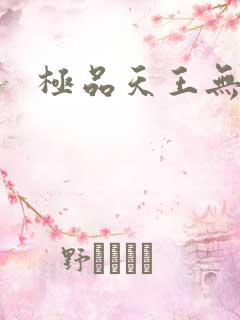 极品天王无弹窗