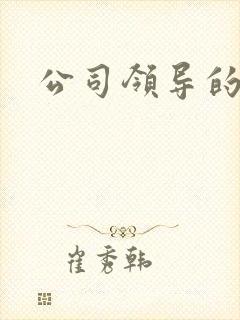 公司领导的老婆
