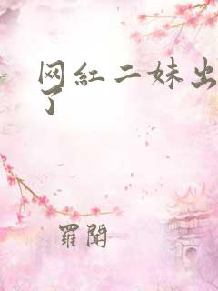 网红二妹出啥事了