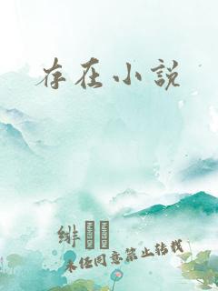存在小说