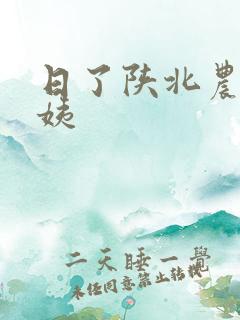 日了陕北农村婆姨