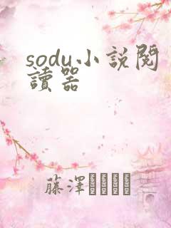 sodu小说阅读器