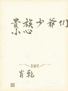 贵族少爷们 请小心