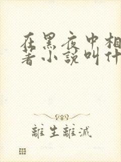在黑夜中相拥原著小说叫什么