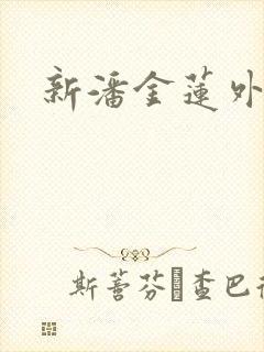 新潘金莲外传