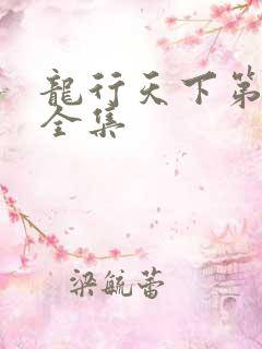 龙行天下第二部全集