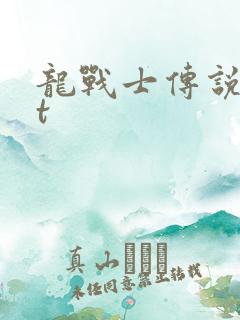 龙战士传说txt