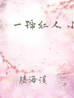 一号红人 小说