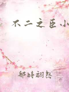 不二之臣小说