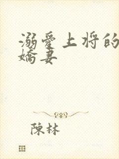 溺爱上将的宝贝娇妻