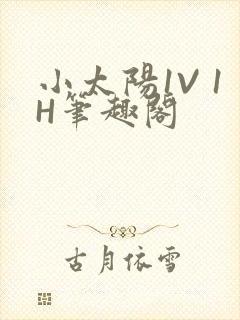 小太阳1V 1H笔趣阁