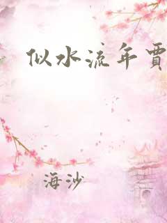 似水流年贾二虎