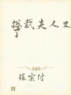 总裁夫人又征婚了