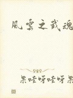 风云之武魂