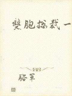 双胞总裁一个妻